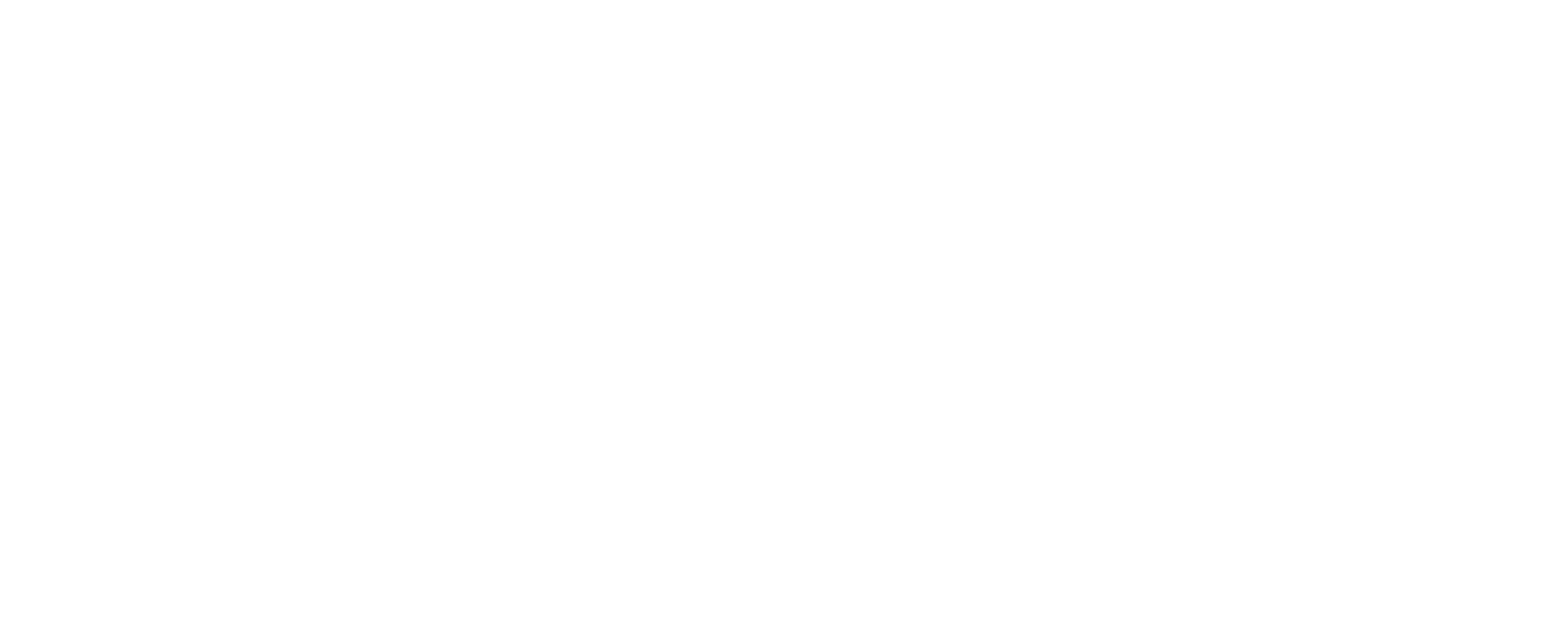 KSE LOGO BLANCO-2