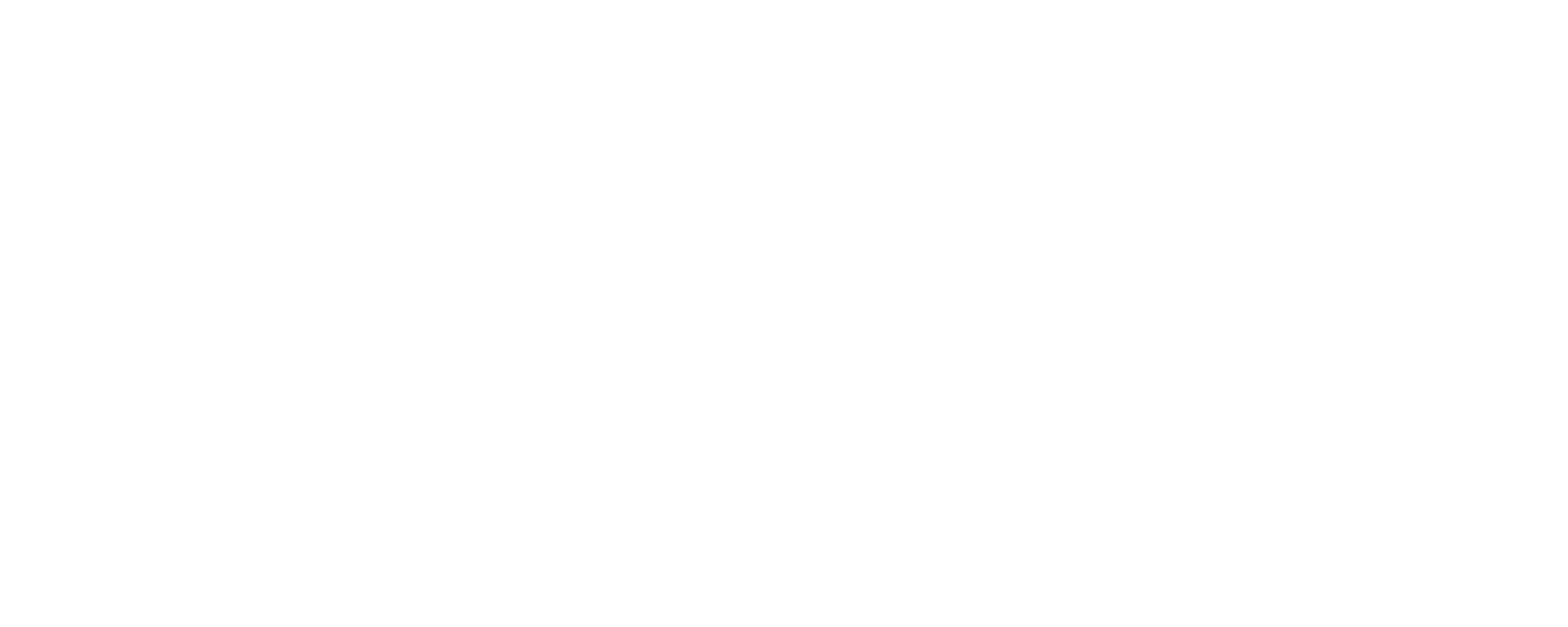 SHAREWAVE LOGO BLANCO-2