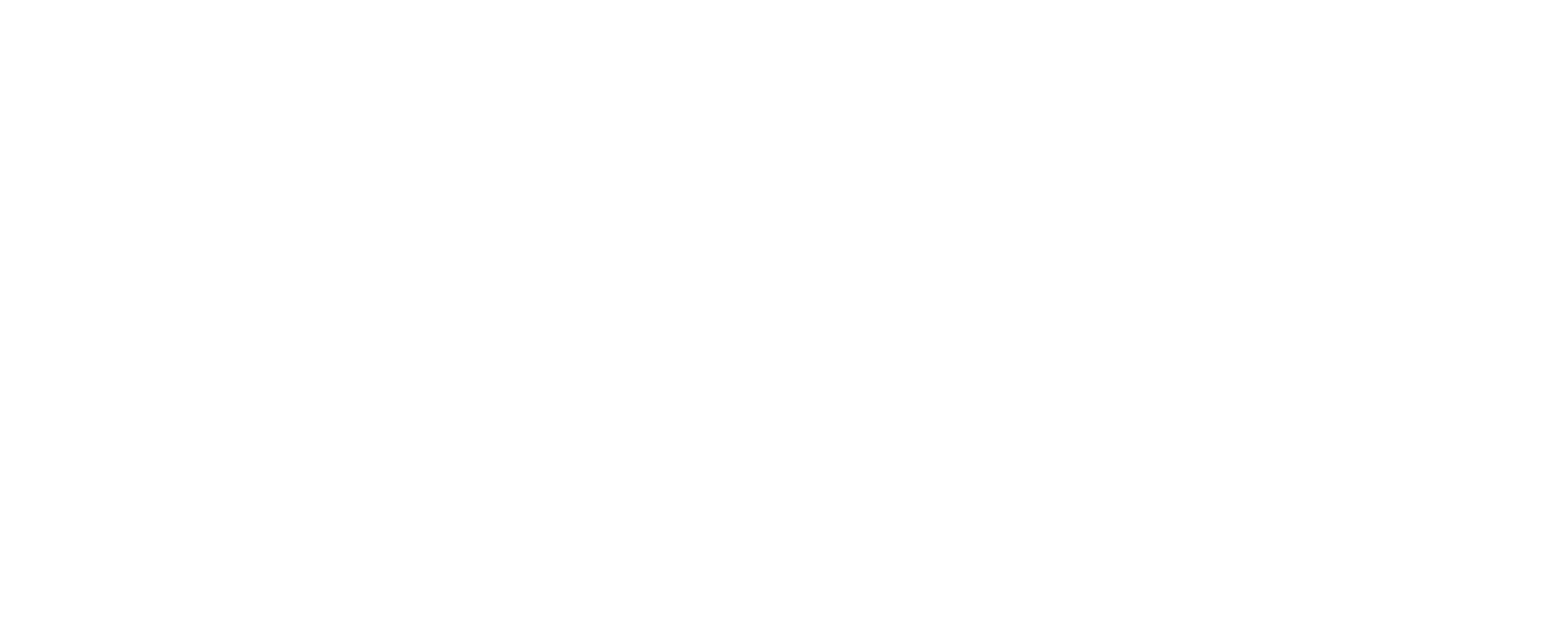 VIRTUA LOGO BLANCO-2